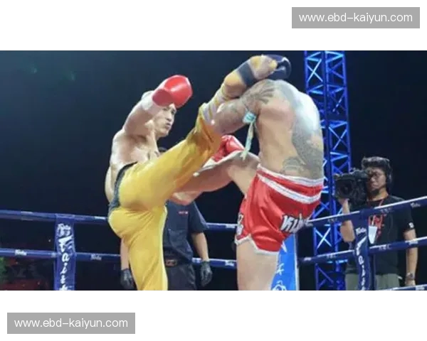 龙腾四海还是折戟沉沙？武林风一龙vs海耶斯：一场传统与现代的终极博弈