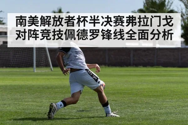 南美解放者杯半决赛弗拉门戈对阵竞技佩德罗锋线全面分析