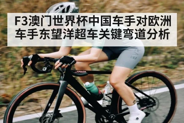 F3澳门世界杯中国车手对欧洲车手东望洋超车关键弯道分析